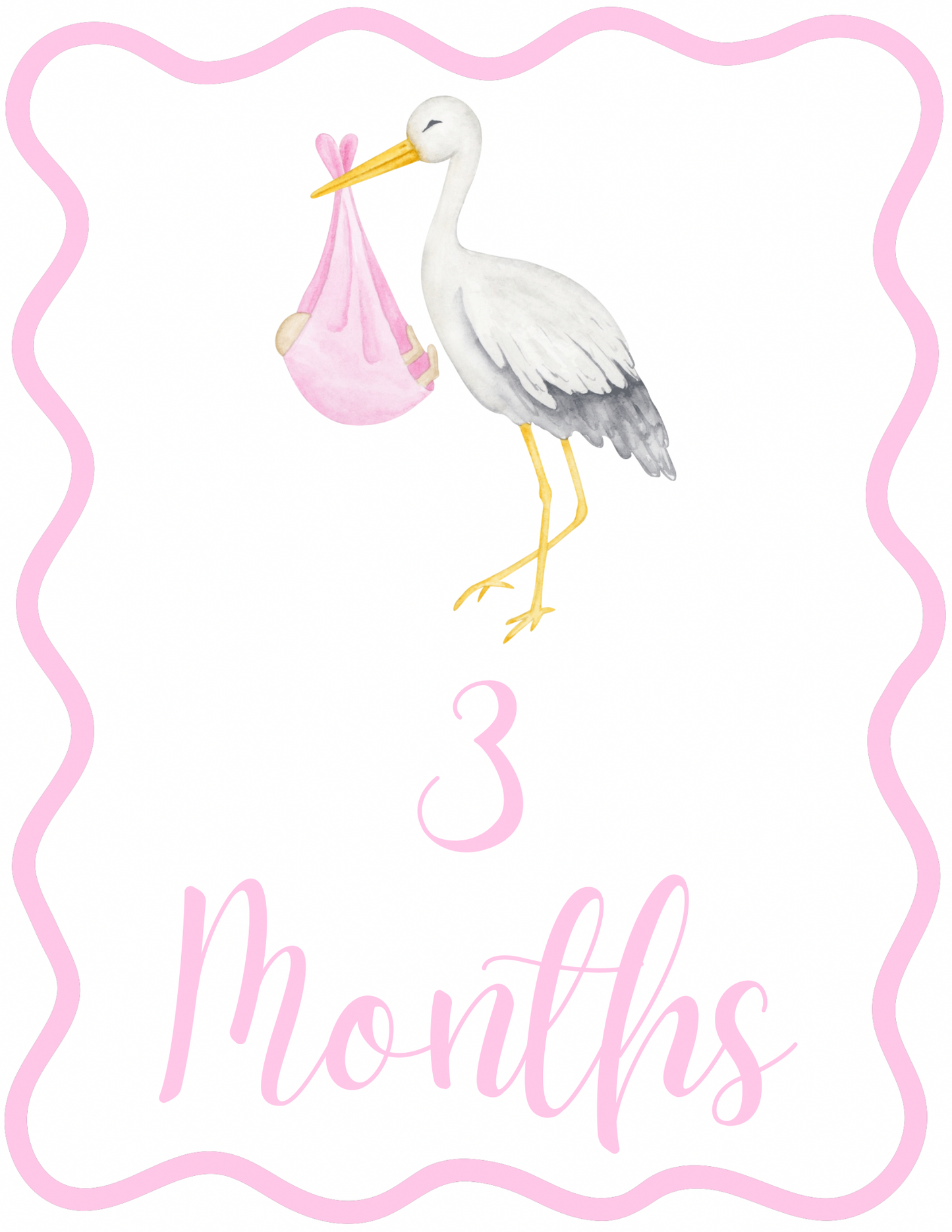 Pink Stork Milestone Cards