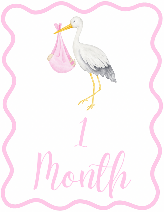 Pink Stork Milestone Cards