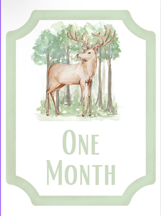 Oh Deer Baby Milestone Cards